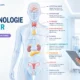fiche endocrinologie infirmier